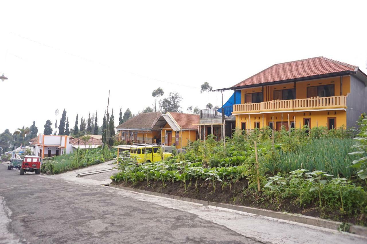 Homestay Lereng Bromo Eksteriør billede