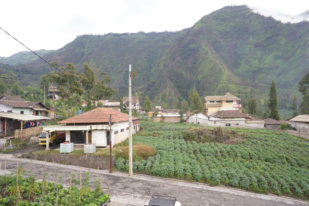 Homestay Lereng Bromo Eksteriør billede