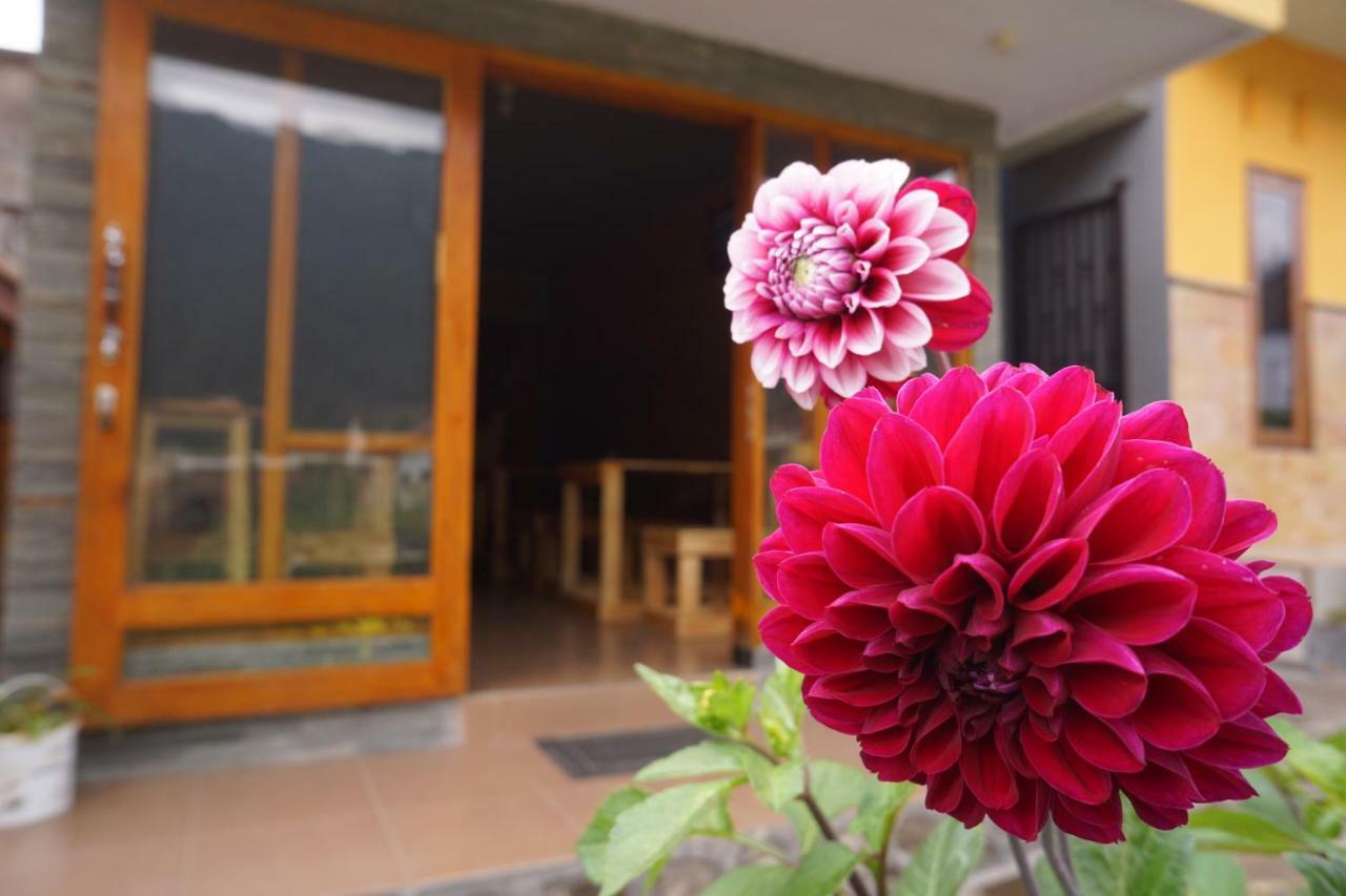 Homestay Lereng Bromo Eksteriør billede